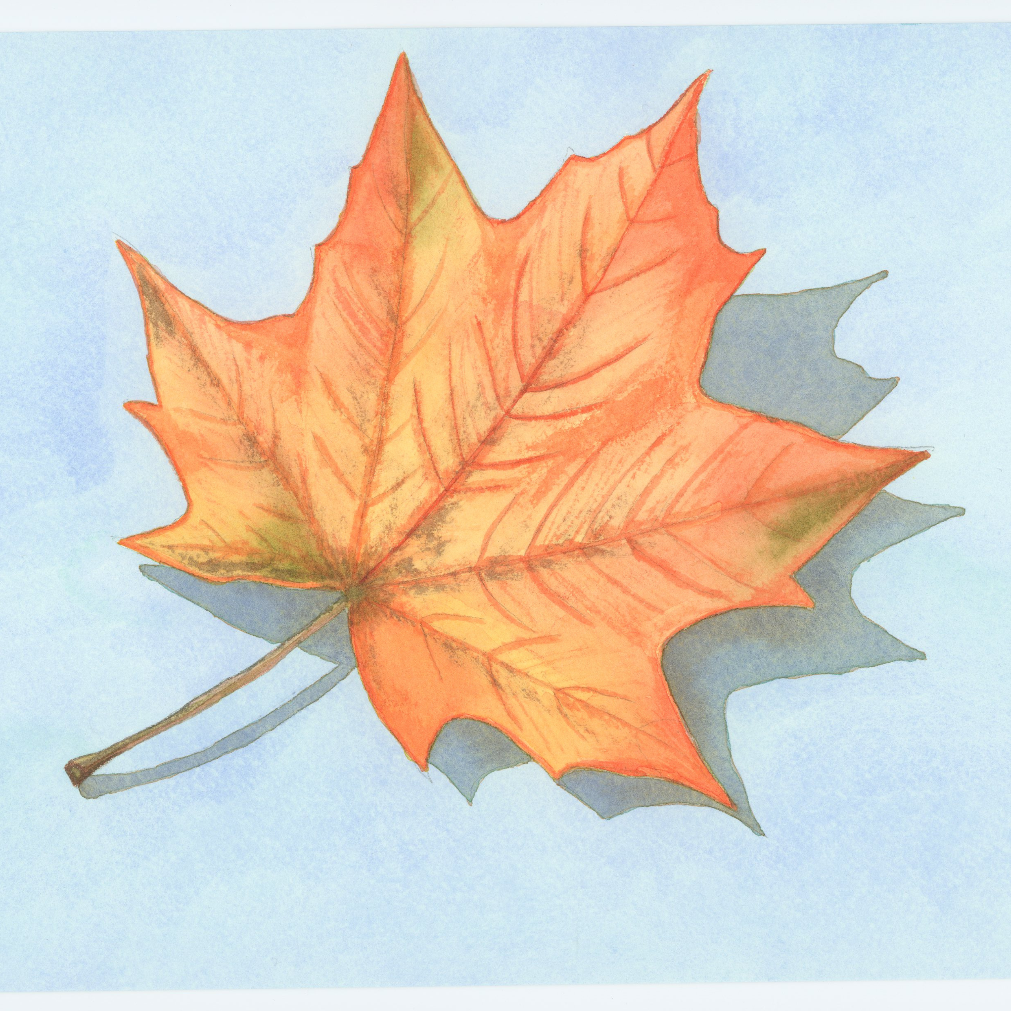 Original Watercolor Art "Between Seasons" 10x14