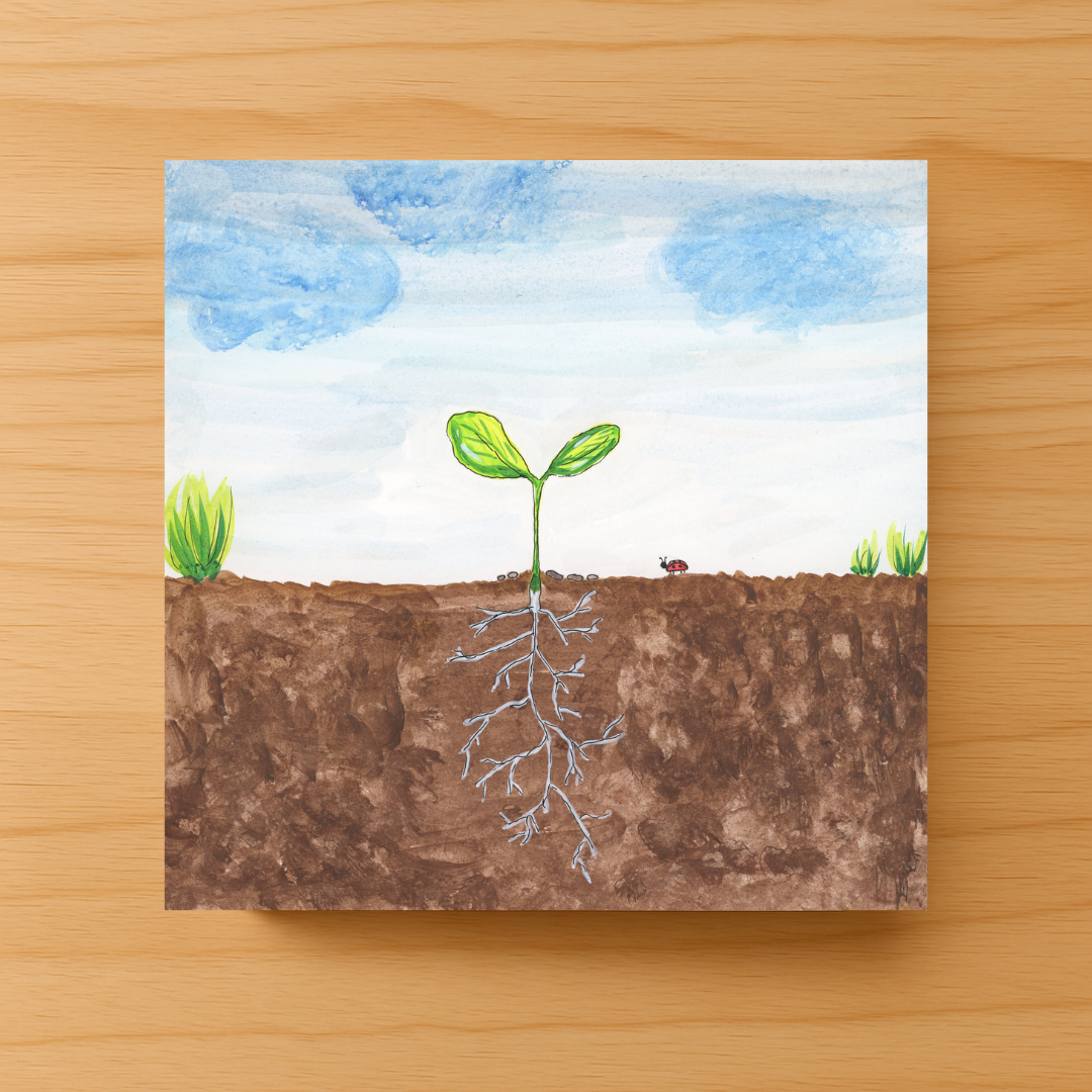 Tiny Seeds, Big Dreams: How Do Flowers Grow? Paperback Book