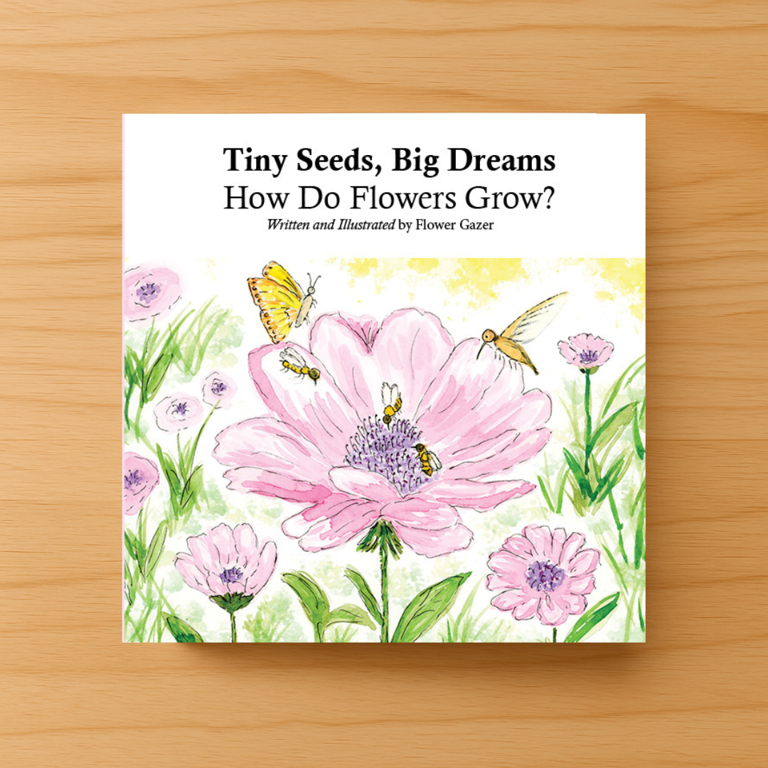 Tiny Seeds, Big Dreams: How Do Flowers Grow? Paperback Book
