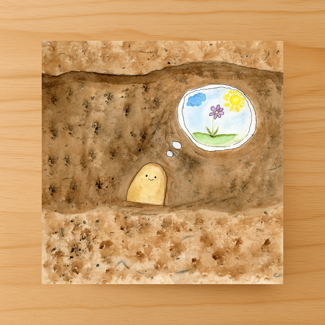 Tiny Seeds, Big Dreams: How Do Flowers Grow? Paperback Book