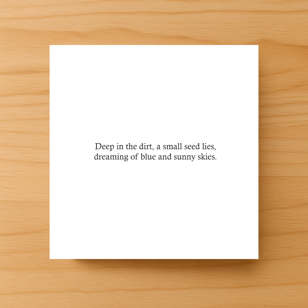 dreaming of planting seeds Tiny Seeds, Big Dreams: How Do Flowers Grow? Paperback