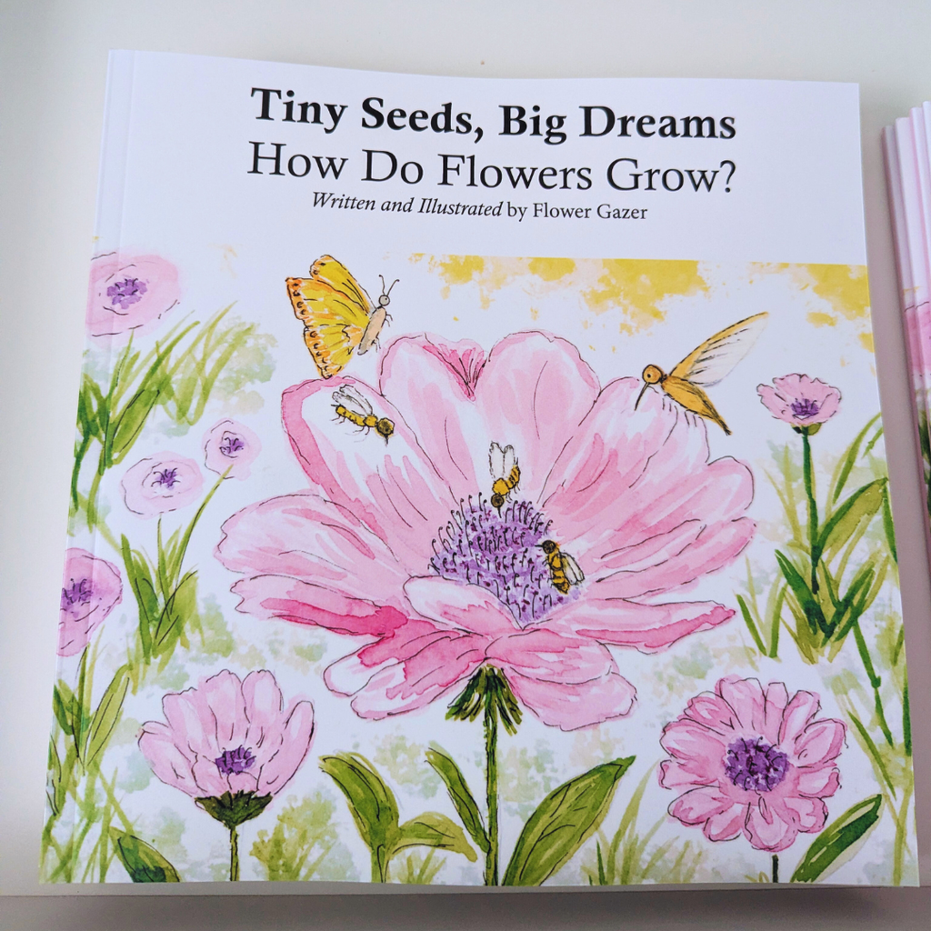 Tiny Seeds, Big Dreams: How Do Flowers Grow? Paperback Book