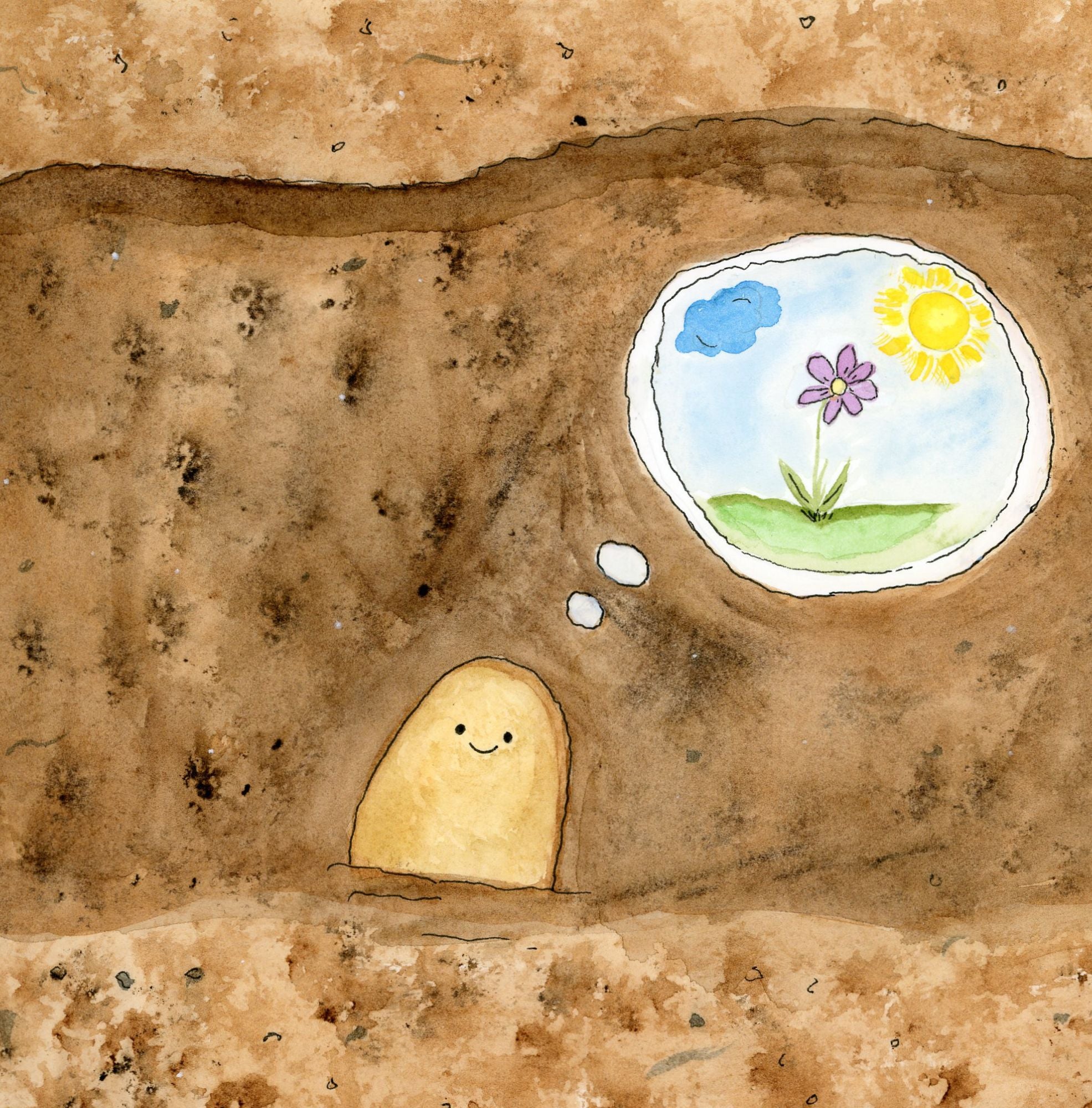 Tiny Seeds, Big Dreams: How Do Flowers Grow? Paperback Book